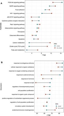 Changes of Gene Expression Patterns of Muscle Pathophysiology-Related Transcription Factors During Denervated Muscle Atrophy